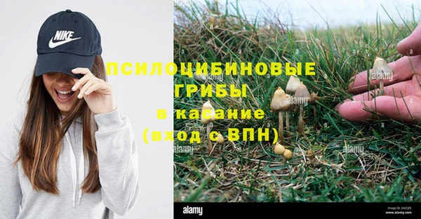 СК Лиски