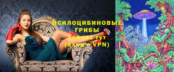 СК Лиски