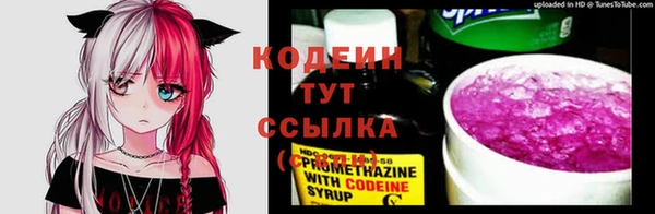 молекула духа Лихославль