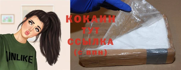 молекула духа Лихославль