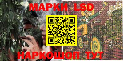 стаф Бузулук