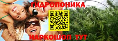 стаф Бузулук