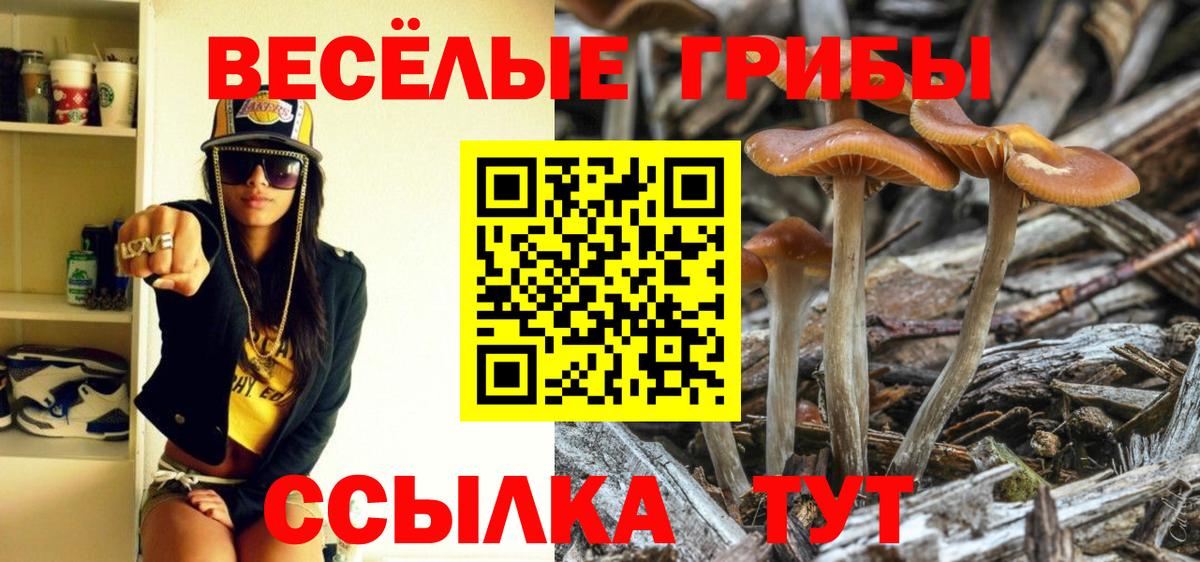 Екатеринбург  Псилоцибиновые грибы Psilocybine cubensis  Вход с VPN 