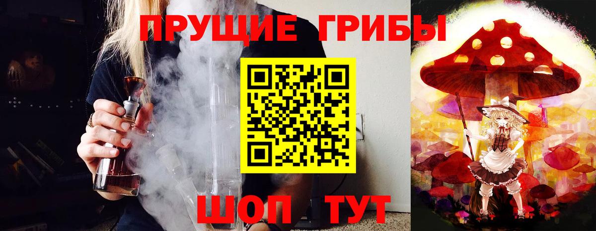 Псилоцибиновые грибы Psilocybine cubensis Екатеринбург